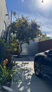 Venice 2BR Executive Relocation & Extended Stays - 1