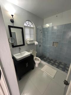 Luxury Oceanview overlooking Ocho rios - 4