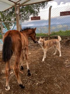 Camino Al Paraiso - 4