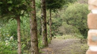 Gapyeong Ashely Pension - 4