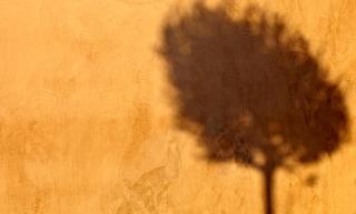 Voreina Gallery Suites - Pyrgos - 6