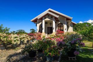 Olive's Place at Villa Dolores - 4