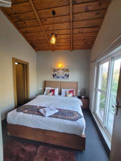 Lakeview RnR Premium stay - 3