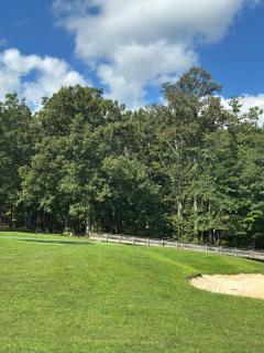 The 4 season at palmer - 5