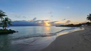 Aloha Studio Accès Plage - Le Gosier - 3
