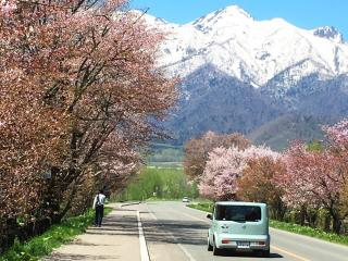 Furano - Hotel / Vacation STAY 35850 - 7