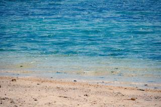 ZenAbode Onna 8 min walk to the beach BBQ in the large garden - 3