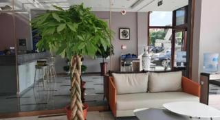 Shell Hotel Beijing Miyun District Shuiku Yangguang - 3