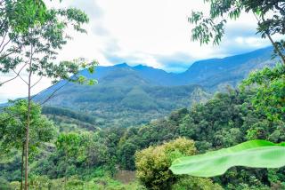 Misty Peaks Villa - 7