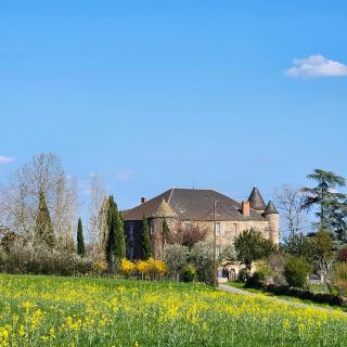 Château de Trévien - 1