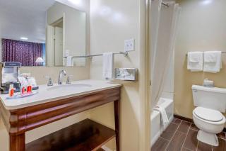 Econo Lodge Woodstock - Shenandoah Valley I-81 - 3