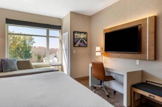 Cambria Hotel Manchester South Windsor - 4