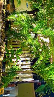 Cutraz homes one bedroom VIP launch - 7