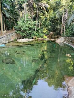 Ella Nature Park Resort - 6