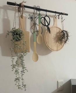 Eucalyptus Studio BB - 1