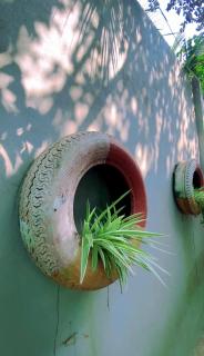 Homestay canthoriver - 7