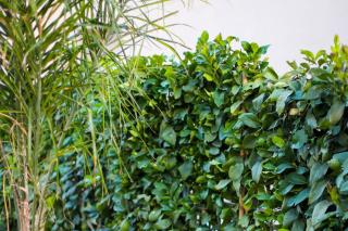 Palasea Apartment - Happy Rentals - 5