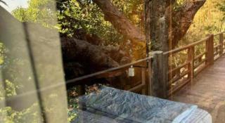 Mango House - Seaview - Homestay. - 4