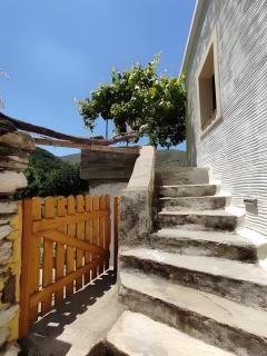Ktima Kariofillis - 3