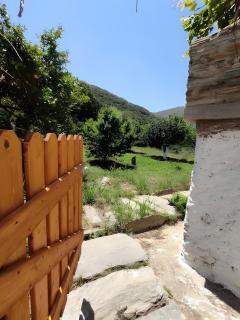 Ktima Kariofillis - 6
