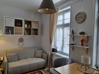 Przytulne gniazdko nad Wisłą - Toruń - 0