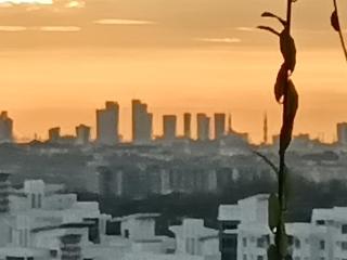 Zenic Rest&View - 6