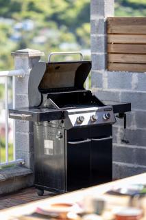 le paradis d'Elise - 1