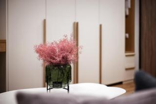 Cozy Quiet City Center Apartment - 4