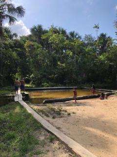 Fazenda na Amazônia diversidade botânica perto da praia - 5
