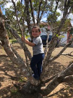 Fazenda na Amazônia diversidade botânica perto da praia - 3