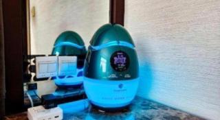 Dongguan Silver World Garden Hotel - 6