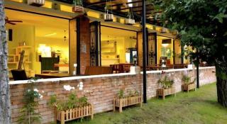 Dandelion Resort - 1