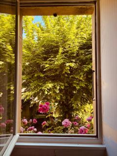 La Maison du Rosier - 8