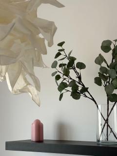 FLH - Pink Panther - 3