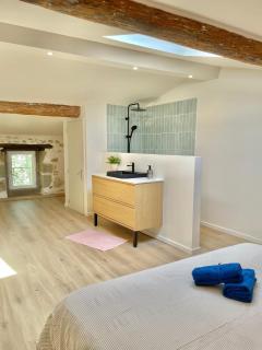 Suites zen dans maison d'hôtes avec piscine intérieure et jardin - 8