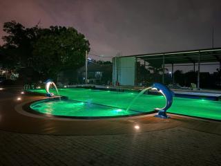 The Palm Tree Bungalow - 2