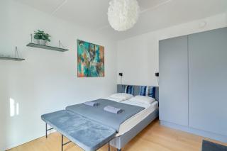 Modern Family Apartment in Local Area - 8