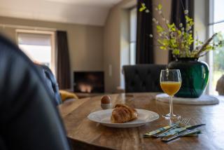 Luxe lodge vakantiehuis de Puntlanden - 7