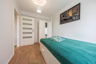 Comfort Apartment near Old Town Bema - 5