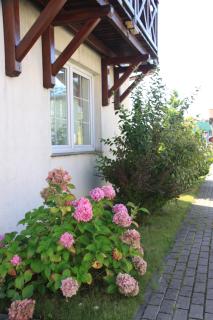 Miniwilla - Władysławowo - 2