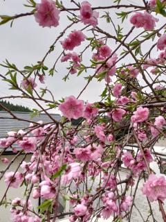 guest house mami - 0