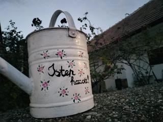Rózsamorzsa Vendégház Szerencs - 3