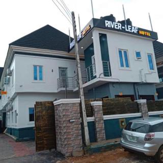 River Leaf Hotel Suites - Executive Room - 5