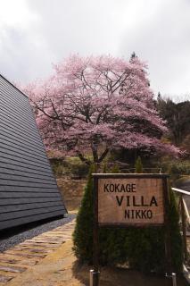 Kokage Villa Nikko-KVN - Nikko - 5