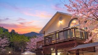 Gapyeong Venezia Dog Pension - 2