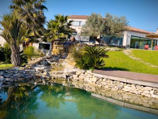 Le Domaine de JOLIO - 6