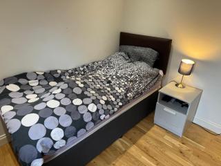 50A Green Lane - 1