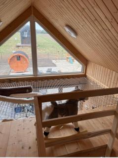 Domek BrzozoweLove - 2