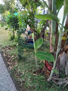 Charmante maison à Saint-Denis avec terrasse privée - 3