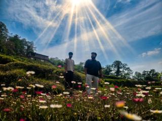 Chaukhamba Cradle - 6